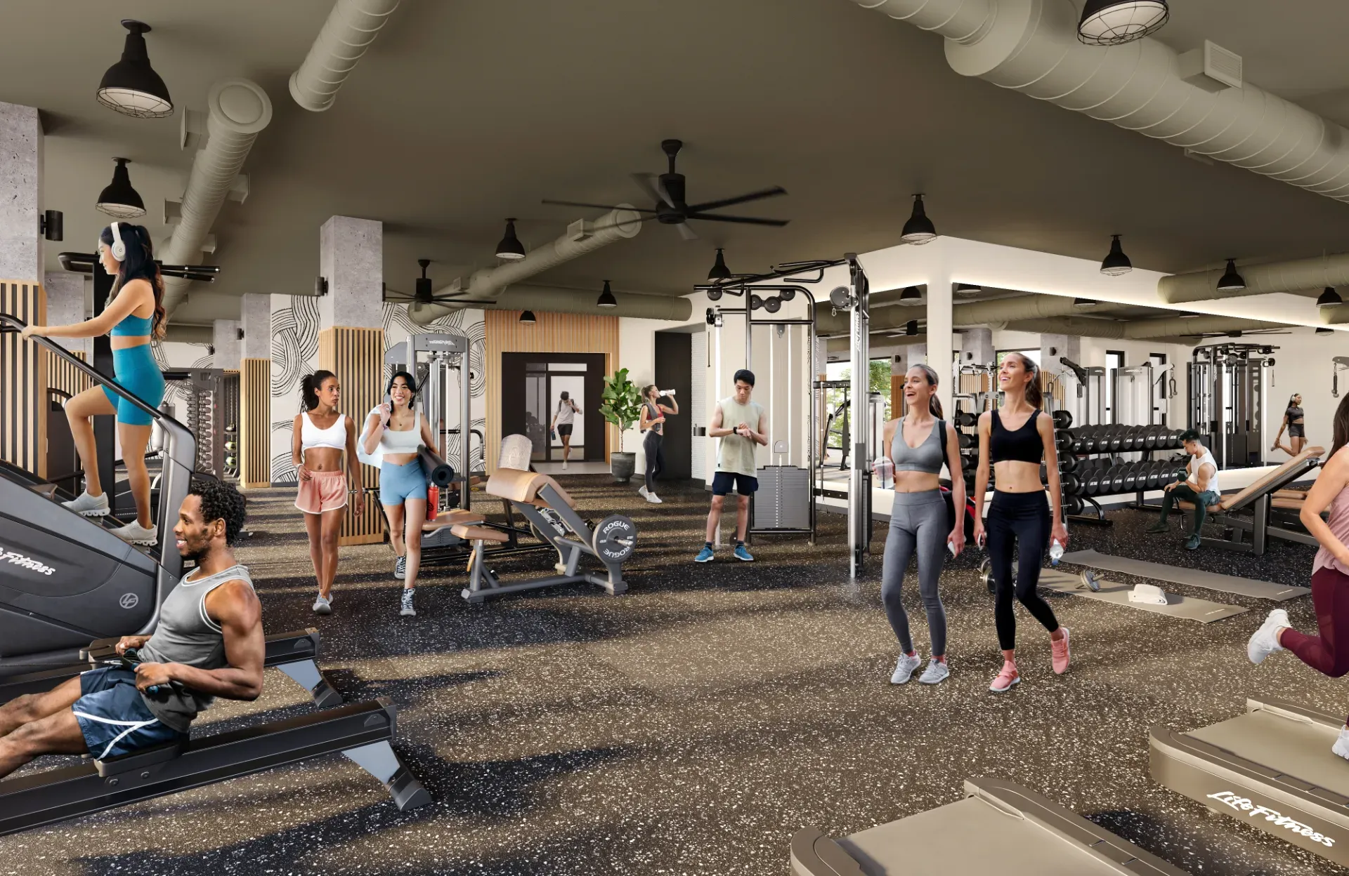 A modern gym within University of Maryland housing features people working out on cardio and weight machines—like treadmills, a rowing machine and benches. Some walk and talk while others exercise actively.