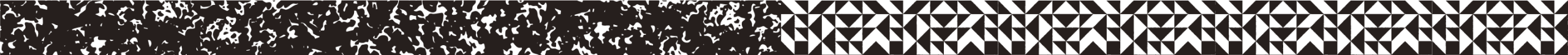A horizontal black-and-white image split in half: the left side features a random, speckled static pattern, while the right side displays a geometric design of repeating triangles and rectangles, echoing the structured look of University of Maryland housing.