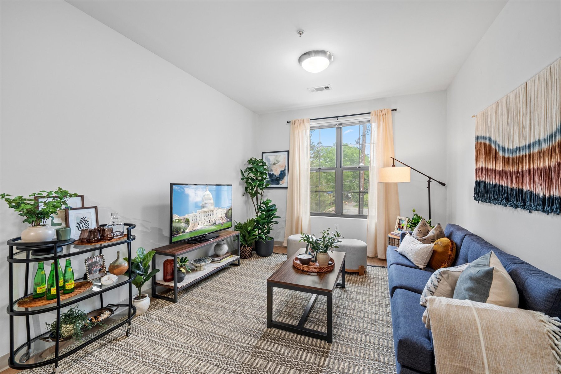 A bright, modern living room at Rambler College Park South features a blue sofa, coffee table, TV, potted plants, and a window with sheer curtains. Wall art and decorative shelves add cozy touches to the space.