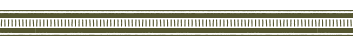 green pattern bottom
