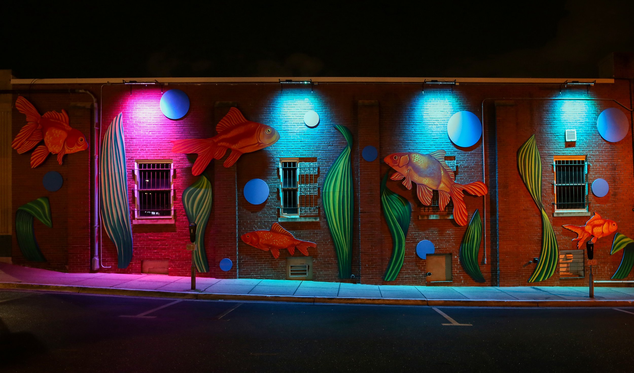 Night-time view of “The Last Goldfish” mural painted by Andy Dahl in College Park, Maryland. 
