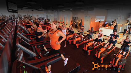 Orangetheory Fitness treadmills and rowing machines.