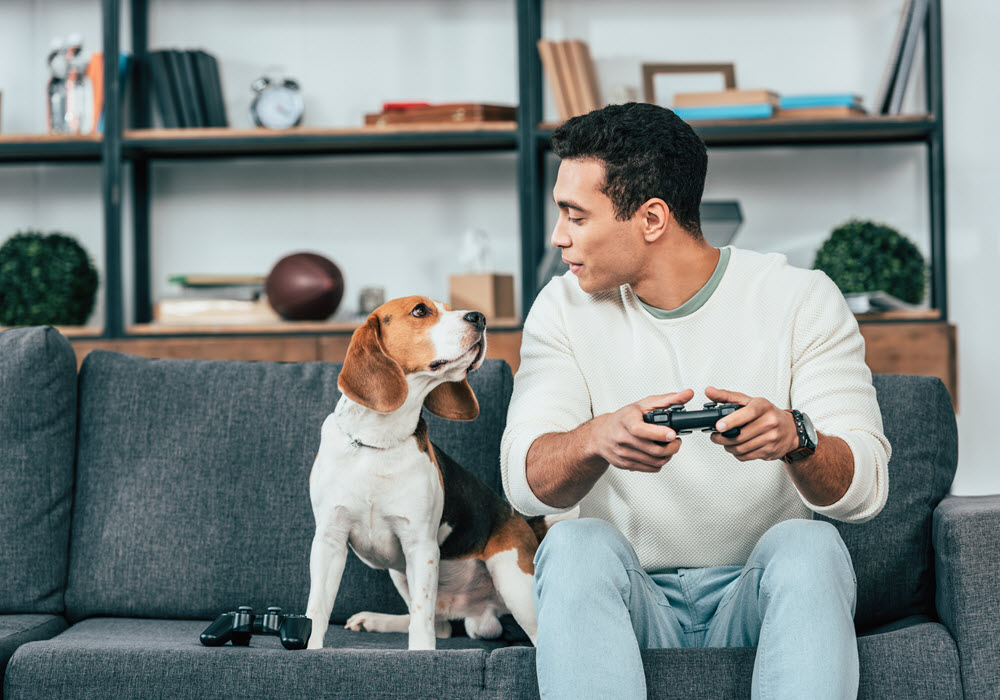 Image of dog in an apartment building with their owner.