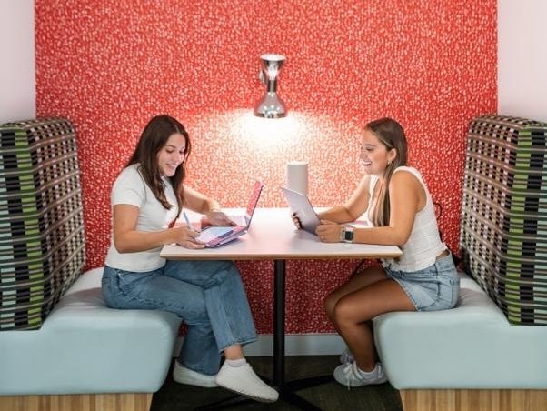 Students studying together at the University of Maryland.