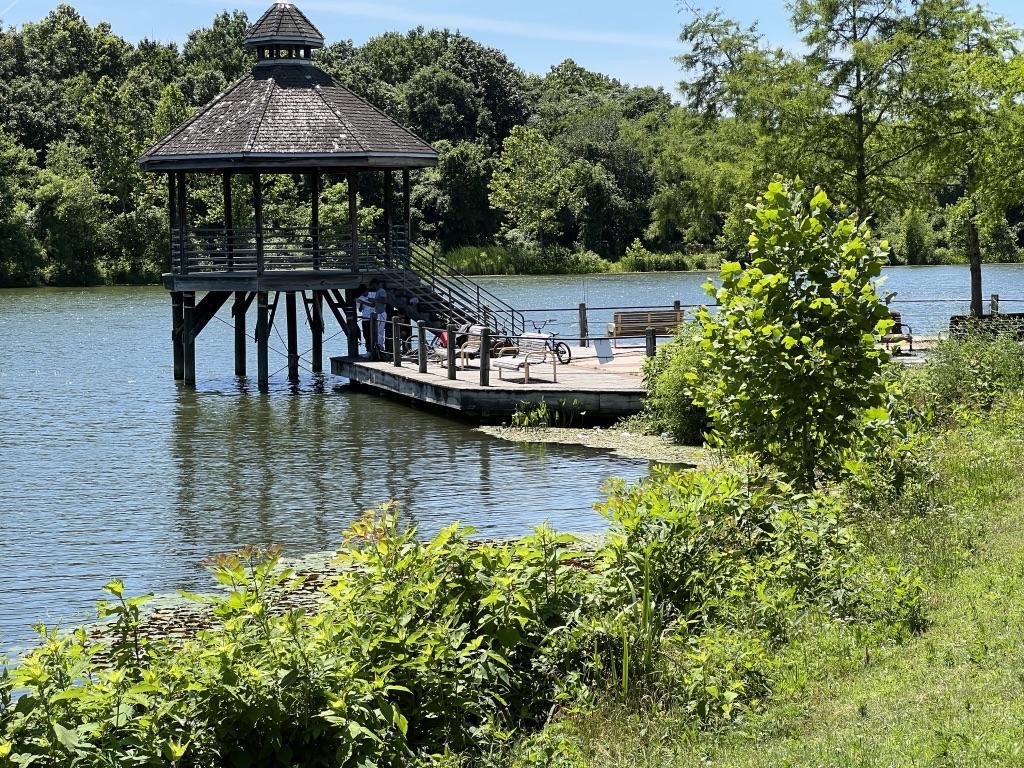 Image of Lake Artemesia Natural Area in College Park.