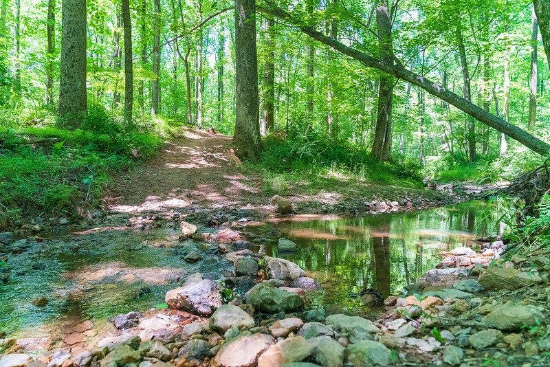 Image of the outdoors at Paint Branch Stream Valley Park.